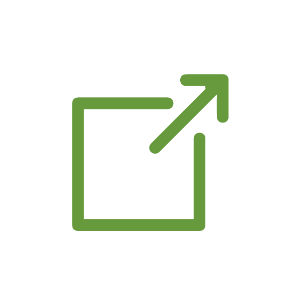 Website Icon